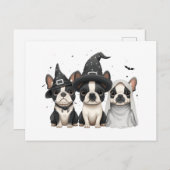 Halloween Boston Terrier Dogs Postkarte (Vorne/Hinten)