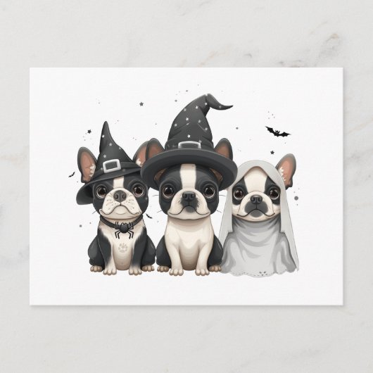 Halloween Boston Terrier Dogs Postkarte (Vorderseite)