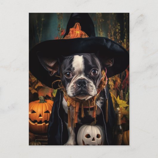 Halloween Boston Terrier Postcard Postkarte (Vorderseite)