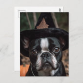 Halloween Boston Terrier Postcard Postkarte (Vorne/Hinten)