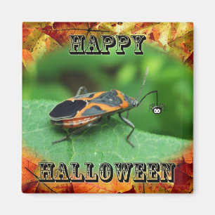 Halloween Box Elder Bug Coordinated Items Magnet