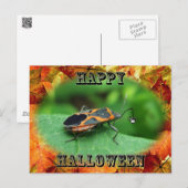 Halloween Box Elder Bug Coordinated Items Postkarte (Vorne/Hinten)