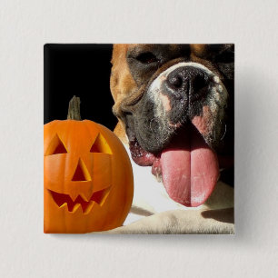 Halloween-Boxerknopf Button