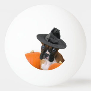 Halloween-Boxerwelpe Tischtennisball