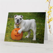 Halloween-Bulldogge Karte (Gelbe Blume)
