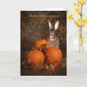 Halloween Bunny in einem Pumpkin-Patch Karte (Gelbe Blume)