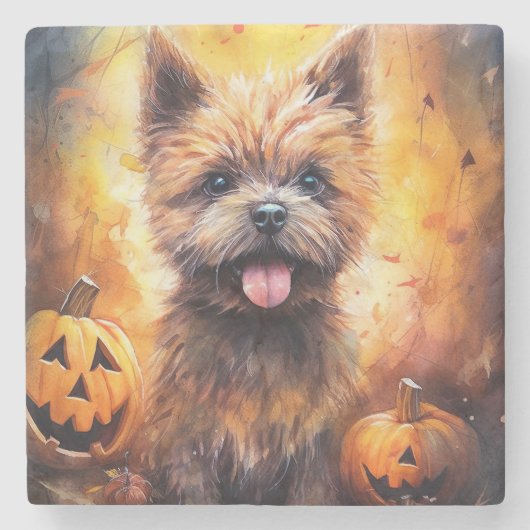 Halloween Cairn Terrier mit Pumpkins Beängstigend Steinuntersetzer (Vorderseite)