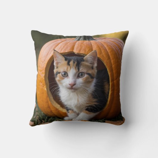 Halloween Calico Kitten sitzt in einem Kürbis Kissen (Rückseite)