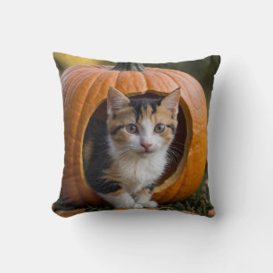 Halloween Calico Kitten sitzt in einem Kürbis Kissen