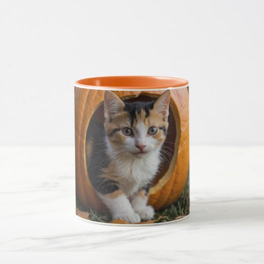 Halloween Calico Kitten sitzt in einem Kürbis Tasse (Zentrum)