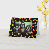 Halloween Candy Corn Foto Card Karte (Gelbe Blume)