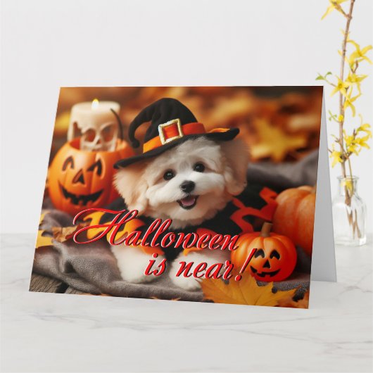 Halloween Card Maltipoo Hund Karte (Gelbe Blume)