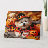 Halloween Card Maltipoo Hund Karte (Vorderseite)