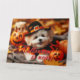 Halloween Card Maltipoo Hund Karte