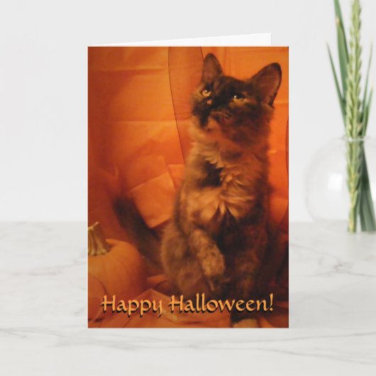 Halloween Cat Card Karte (Vorderseite)