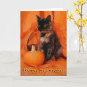 Halloween Cat Card Karte (Gelbe Blume)