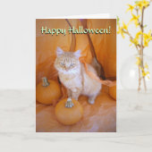 Halloween Cat Card Karte (Gelbe Blume)