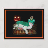 Halloween Cat ist Gettin' The Goods! Postkarte (Vorderseite)