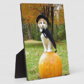 Halloween Cat on Orange Pumpkin Fotoplatte (Seite)