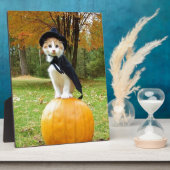Halloween Cat on Orange Pumpkin Fotoplatte (Seite)