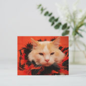 Halloween Cat Postkarte (Stehend Vorderseite)