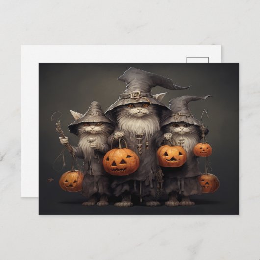 Halloween Cat Postkarte (Vorne/Hinten)