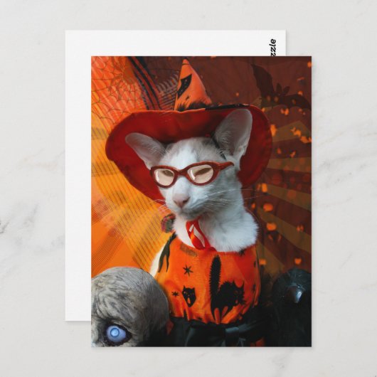 Halloween Cat Postkarte (Vorne/Hinten)