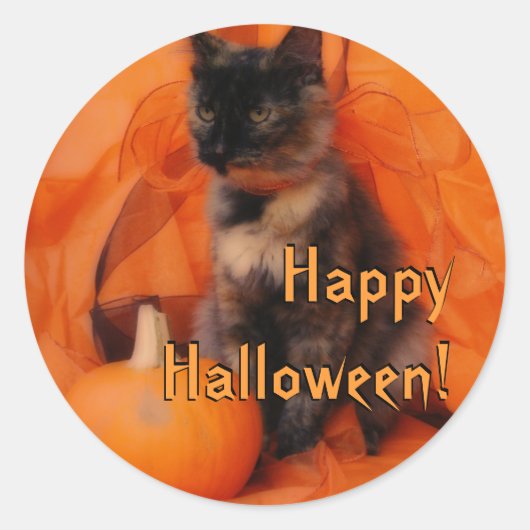 Halloween Cat Stickers (Vorderseite)
