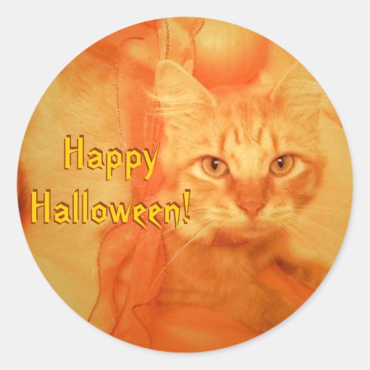 Halloween Cat Stickers (Vorderseite)