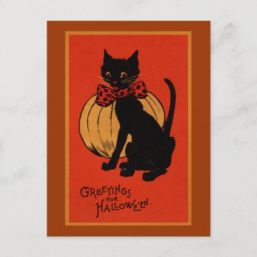 Halloween Cat und Pumpkin Postkarte (Vorderseite)