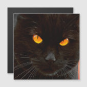 Halloween Cat's Face Magnetkarte (Vorne/Hinten)
