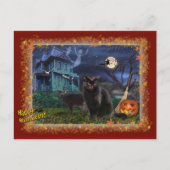 Halloween Cats Postkarte (Vorderseite)