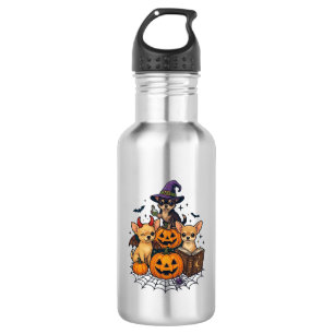 Halloween Chihuahua Hunde Kürbisse Hexenhut Zauber Edelstahlflasche