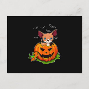 Halloween Chihuahua Hundeliebhaber Kürbis Grunge J Feiertagspostkarte