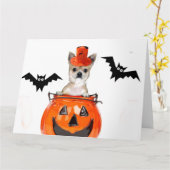 Halloween-Chihuahuahund Karte (Gelbe Blume)