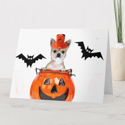 Halloween-Chihuahuahund Karte (Vorderseite)