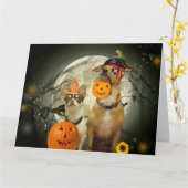 Halloween chihuahuas karte (Gelbe Blume)