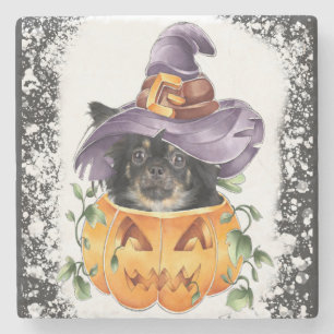 Halloween Chiwawa Hexe in Pumpkin Spooky Niedlich Steinuntersetzer