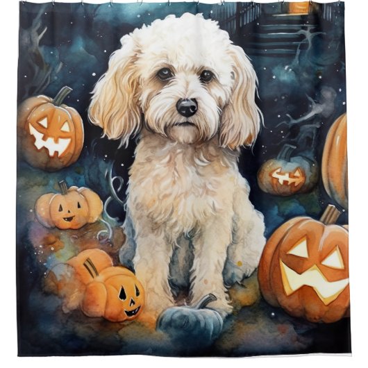 Halloween Cockapoo mit Pumpkins Beängstigend Duschvorhang (Vorderseite)