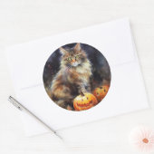 Halloween-Coon-Katze mit Pumpkins Beängstigend Runder Aufkleber (Umschlag)