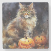 Halloween-Coon-Katze mit Pumpkins Beängstigend Steinuntersetzer (Vorderseite)