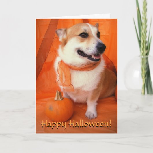 Halloween Corgi Card Karte (Vorderseite)
