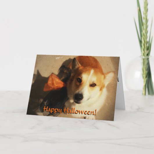 Halloween Corgi Card Karte (Vorderseite)