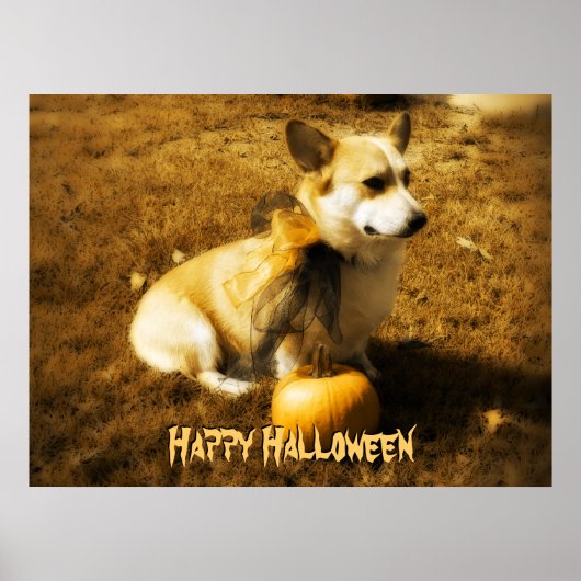 Halloween Corgi Poster (Vorne)