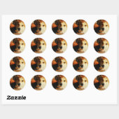 Halloween Corgi Stickers (Blatt)