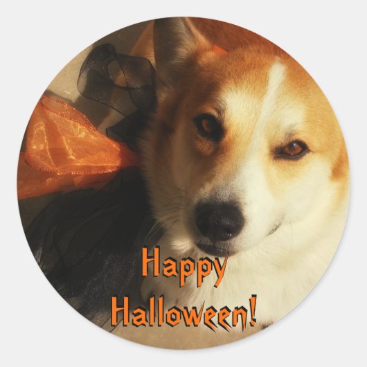 Halloween Corgi Stickers (Vorderseite)
