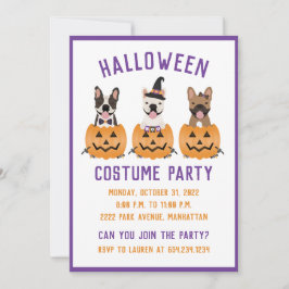 Halloween Costume Party French Bulldogs Pumpkin Einladung