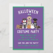 Halloween Costume Party Hunde Schwarze Katze Einladung (Vorderseite)
