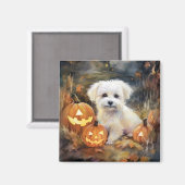 Halloween Coton De Tulear mit Pumpkins Beängstigen Magnet (Vorderseite/Rückseite)