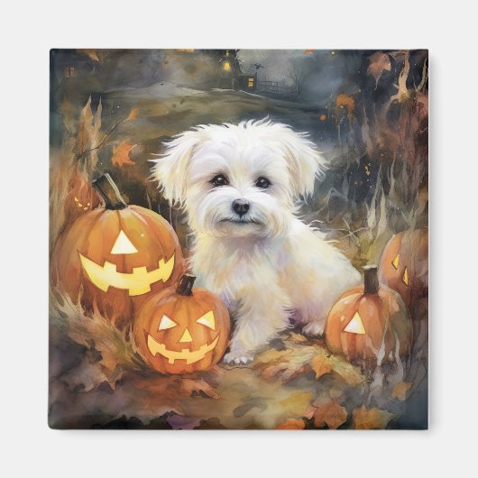 Halloween Coton De Tulear mit Pumpkins Beängstigen Magnet (Vorne)